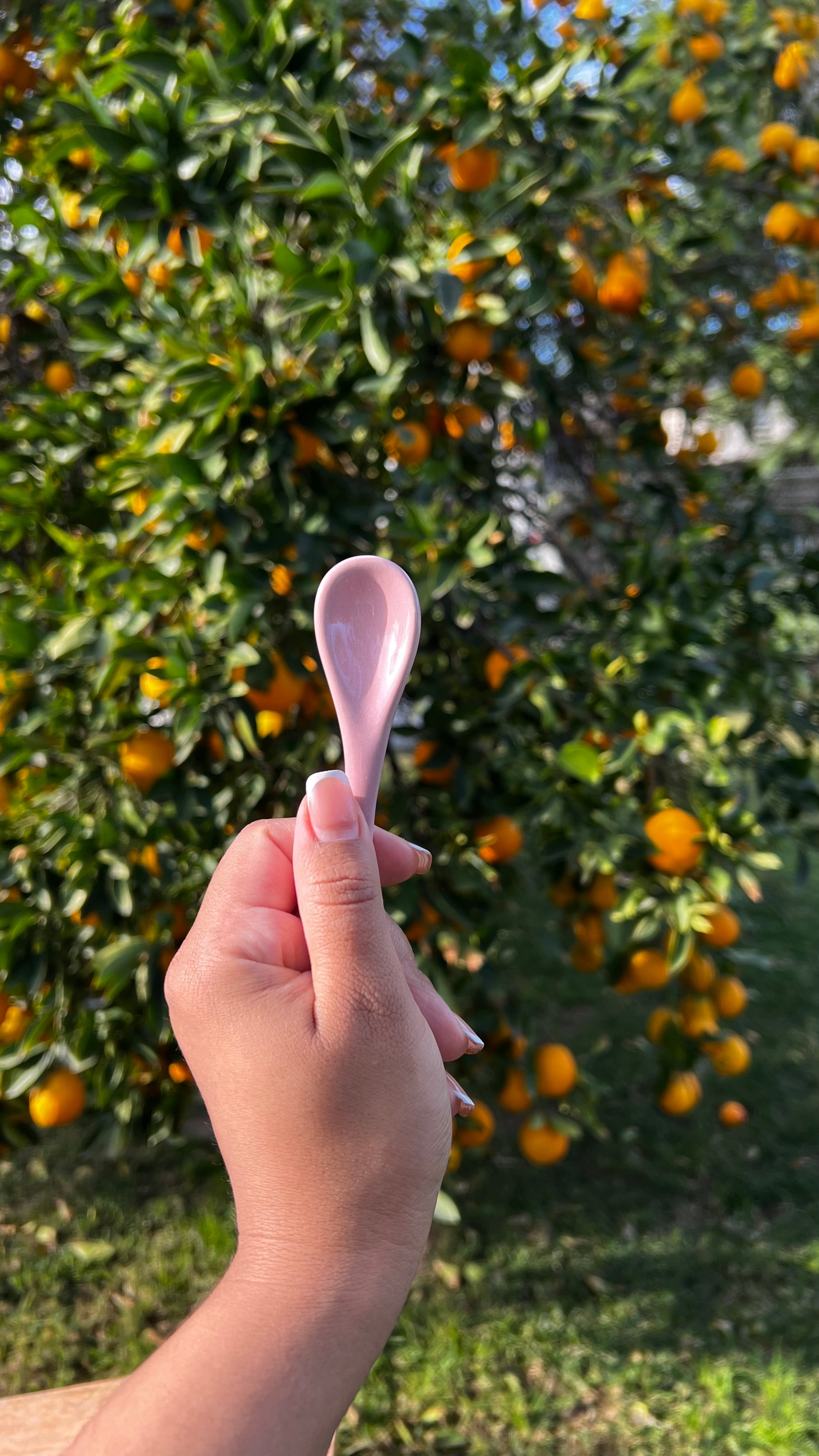 Rosas Azucarero y Cafetero | Coffee and Sugar holder | PRE-ORDER 6-14 WEEKS